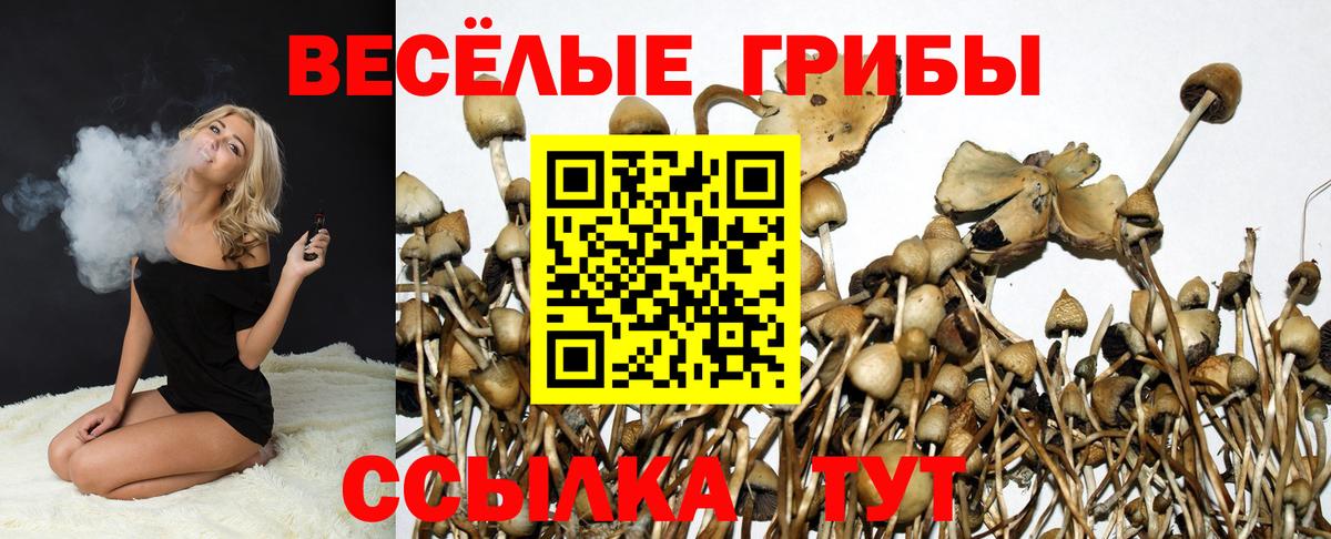 Псилоцибиновые грибы прущие грибы  Вход с VPN  Рыбинск 